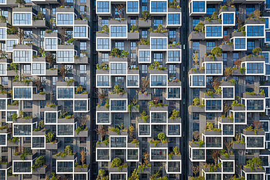 В Китае появился жилой дом с вертикальным лесом