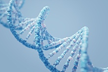 Ученые обнаружили мутацию гена, приводящую к мужскому бесплодию