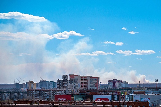 «Понеслась по полю жатва»: над северо-западом Челябинска поднялся густой дым