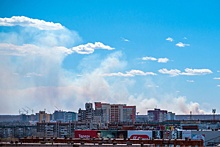 «Понеслась по полю жатва»: над северо-западом Челябинска поднялся густой дым