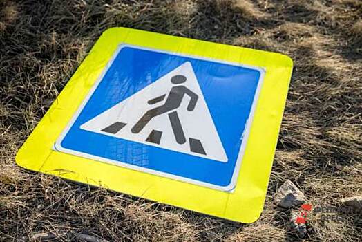 В Зауралье ПДД чаще нарушают пешеходы, чем водители