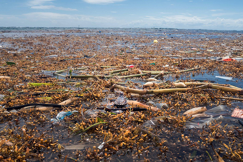 Большое тихоокеанское мусорное пятно это отходы из 1,8 трлн кусков пластика весом 80 000 тонн.