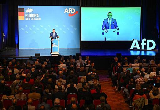 Партию «Альтернатива для Германии» признали подозреваемой в правом экстремизме