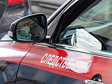 Названа причина смерти выложившего фото с сотнями мертвых гусей депутата