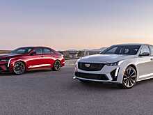 Стало известно о перспективах расширения модельной линейки Cadillac Blackwing