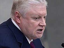 Миронов выступил против инициативы обязать безработных платить взносы