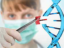 7 вопросов к генетику: как кровосмешение влияет на здоровье детей