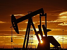 Российской «нефтянке» предложили выбрать способ смерти