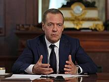 Медведев заявил о захвате власти в Евросоюзе бандой полоумных