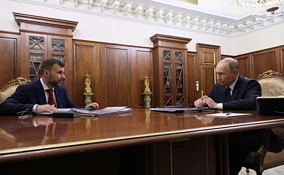 Денис Пушилин рассказал президенту о планах по восстановлению ДНР