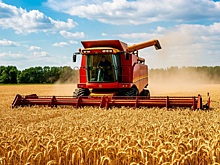 В Красноярском крае собрали рекордные 2,5 тысяч тонн зерна