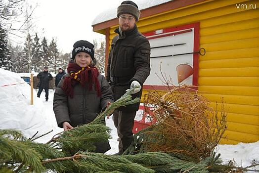 Новый год в Москве: чего ждать горожанам