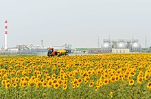 «ФосАгро» провела «День поля» в Саратовской области