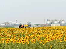 «ФосАгро» провела «День поля» в Саратовской области