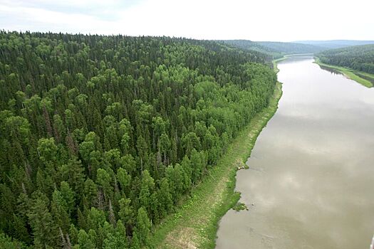 Эксперт по выживанию ответил на слухи об аномальной зоне