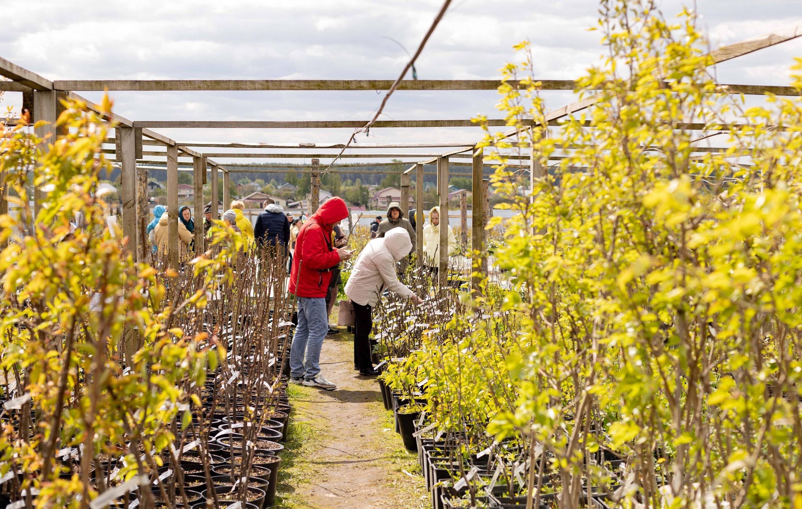 Около 7,8 тысячи человек бесплатно приобрели садовые товары в Выксе