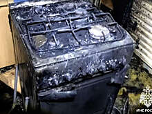 В Удмуртии школьник пытался приготовить еду и устроил пожар