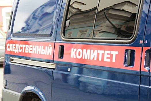Лечение у психиатра назначат иностранцу после резни в аэропорту Красноярска