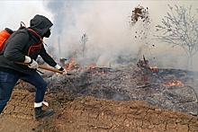 МЧС: Обстановка с ландшафтными пожарами в Приморье стабилизировалась