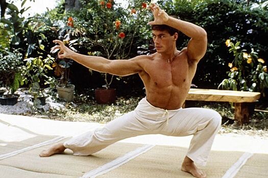 Десять лучших фильмов про карате