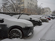 В Екатеринбурге выпало рекордное количество снега