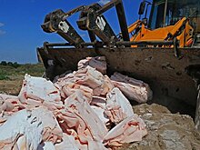 Минсельхоз предложил уничтожать любую продукцию неизвестного происхождения