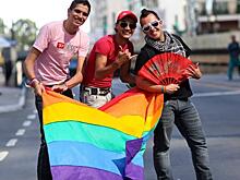 Пропаганда ЛГБТ: что хотели запретить в России из-за «навязывания нетрадиционных ценностей»?