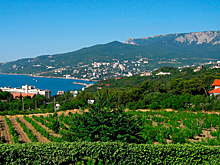 Город Саки в Крыму получит более 111 млн рублей по нацпроекту на благоустройство