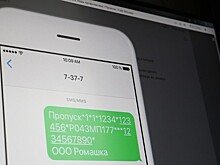 В Забайкалье отменили цифровые пропуска