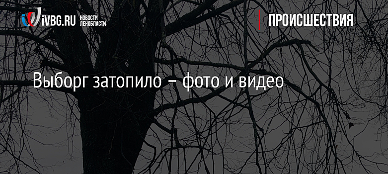 Выборг затопило – фото и видео