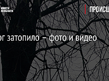 Выборг затопило – фото и видео