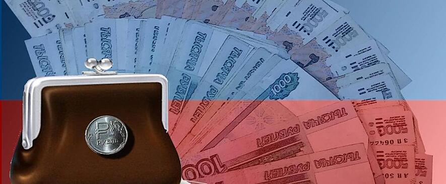 Профессор РЭУ Финогенова: Полученные Россией долговые выплаты от других стран оказались ниже из-за санкций
