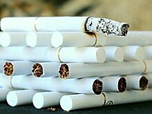 Сенатор предложил ускорить создание ведомства по регулированию табачного рынка