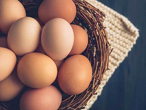 Мифы и правда о пользе яиц для здоровья