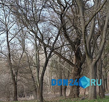 В Ростовской области начнут изымать пустые дачные участки