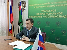 Экс-депутат Госдумы Литовченко ушел из Россельхознадзора на пенсию