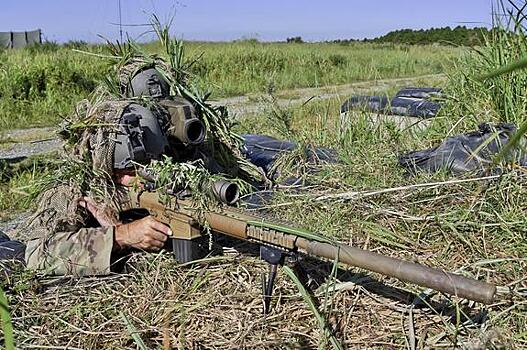 Снайпер ДНР ликвидировал военного из «рыцарской» бригады ВСУ под Донецком