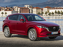 Перечислены самые популярные автомобили, ввоз которых не остановил утильсбор