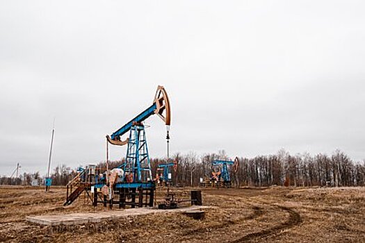 В России назвали срок принятия решения по альтернативным котировкам нефти
