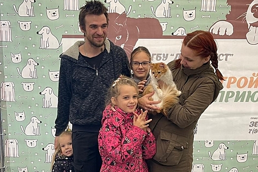 Девять приютских животных обрели новый дом на выставке "Ищу друга» в Зеленограде