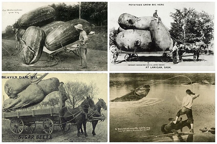В конце 19 — начале 20 веков в США выпускали такое вот открытки о сытой жизни в Северной Америке.