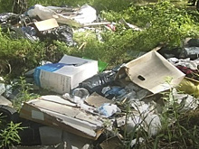 Житель Тюменской области заплатит крупный штраф за свалку в лесу