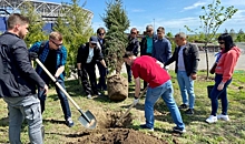В центральном парке Волгограда высадили деревья и установили скворечники