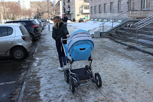 Дружелюбие, выносливость и находчивость. Кинологи — о собаках-спасателях