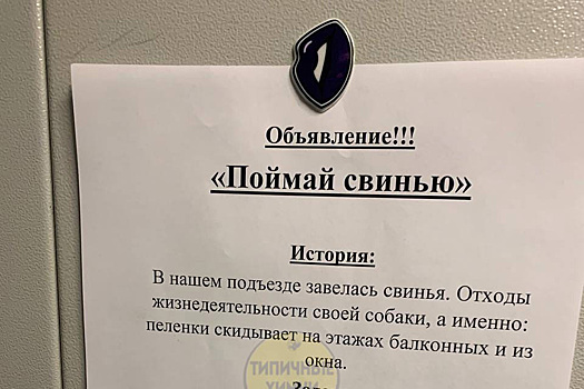 Необычное объявление в подмосковной многоэтажке развеселило россиян