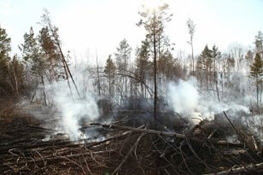 За минувшие сутки в лесном фонде на территории Иркутской области локализован один пожар