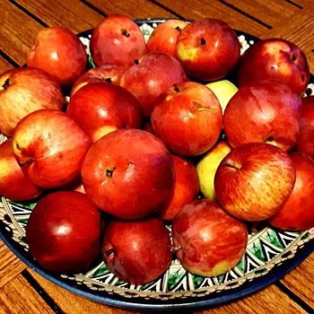 'Айдаред' - старый, но не устаревший сорт яблок. Они чудесны!