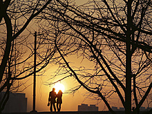 Что происходит в мозге влюбленных