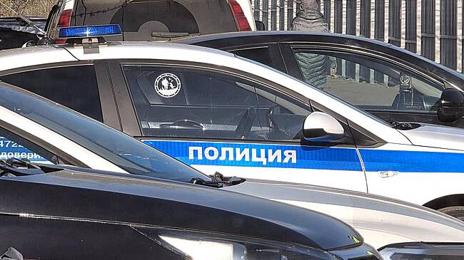 Российский дачник запугивал председателя СНТ пистолетом из-за отключения воды