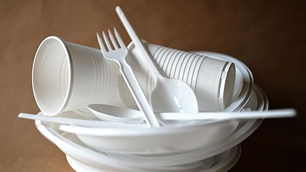 Депутат Госдумы предложил ограничить использование одноразовой посуды